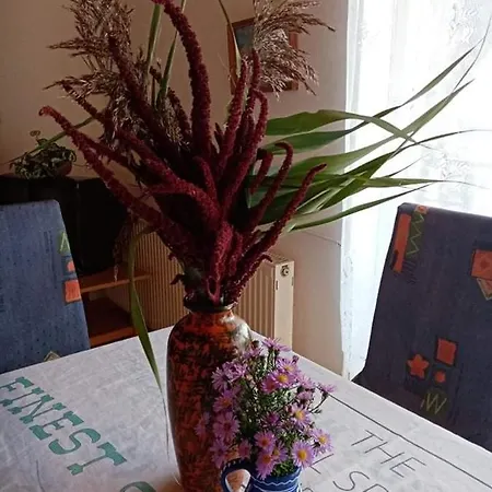 Badacsonyi Magán Szállas Apartamento *